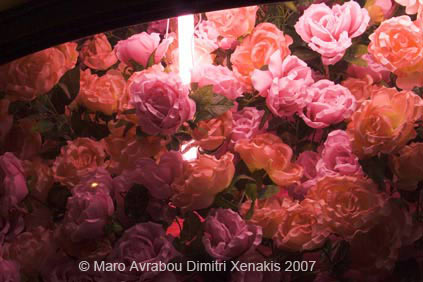 Pink roses car